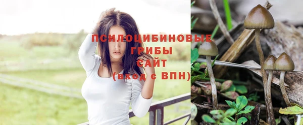 трава Армянск