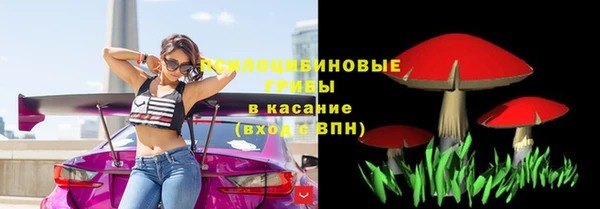прущий лед Пересвет