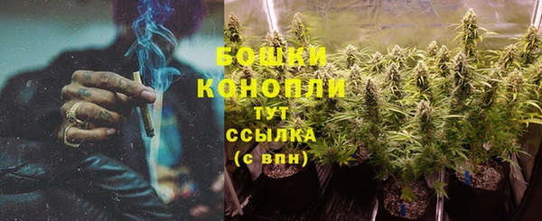 крисы Арсеньев
